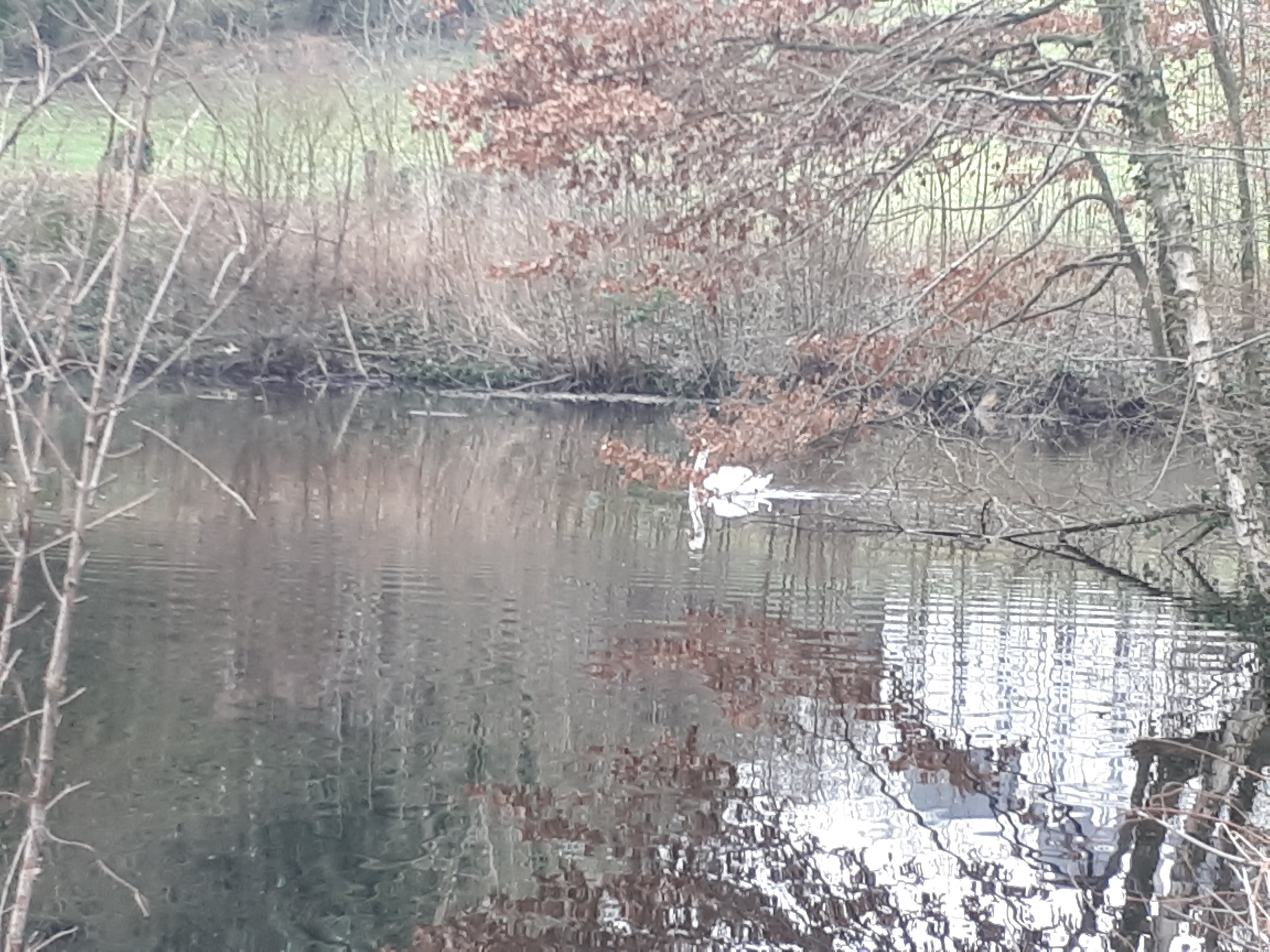 Photo n° 2 de l'avis de Magali.e fait le 07/01/2018 à 16:08