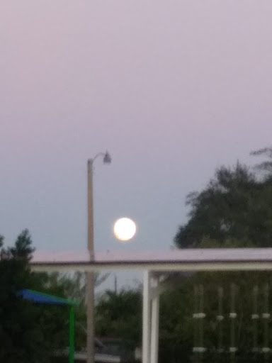 Park «West-End Park», reviews and photos, 250 SW 60th Ave, Miami, FL 33144, USA