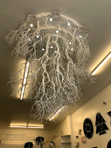 Interior Plant Service «Plant The Future, Inc.», reviews and photos, 2511 NW 2nd Ave, Miami, FL 33127, USA