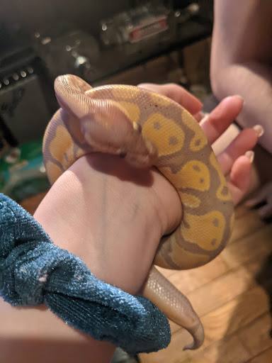 Pet Supply Store «Petsense Middlesboro», reviews and photos, 1875 N 25th St, Middlesboro, KY 40965, USA