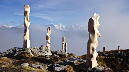 Holzskulpturen - Dominic Müller - Gipfelkunst