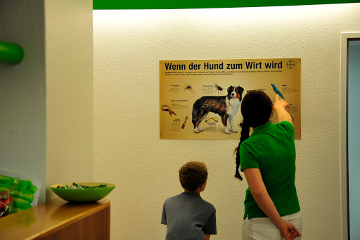 Dr. Claudia Kellermeier, Tierarztpraxis Schwachhausen unter Bremen, 