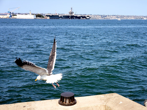 Maritime Museum «USS Midway Museum», reviews and photos, 910 N Harbor Dr, San Diego, CA 92101, USA