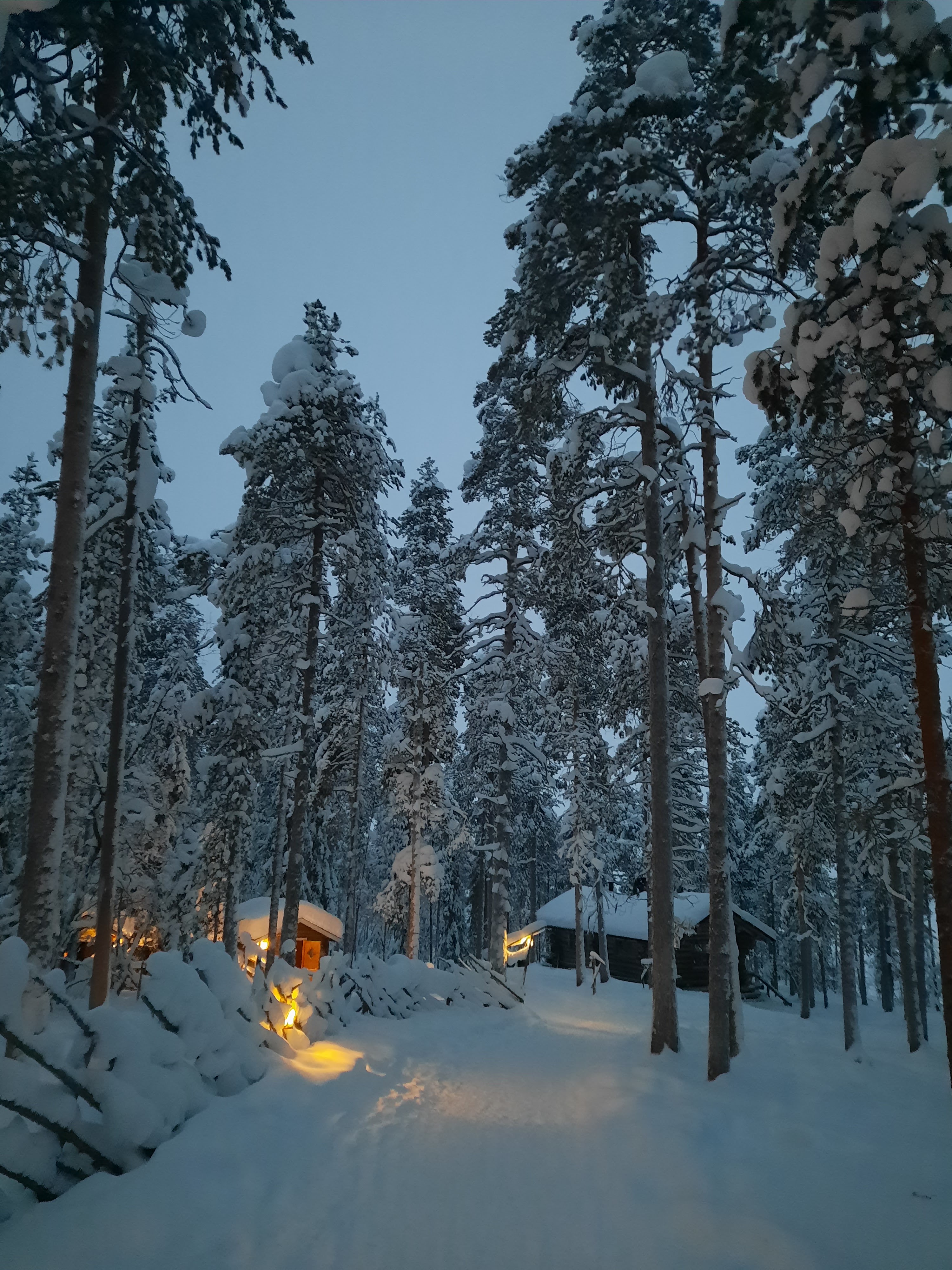 Photo n° 3 de l'avis de F.a fait le 25/01/2023 à 15:27