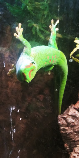 Pet Store «Pets World», reviews and photos, 147 Bridge St, Weymouth, MA 02191, USA