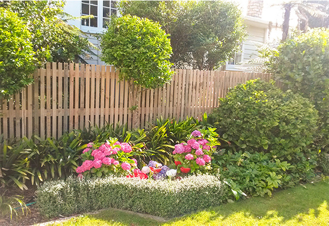Comments and reviews of Absolute Landscaping Solutions