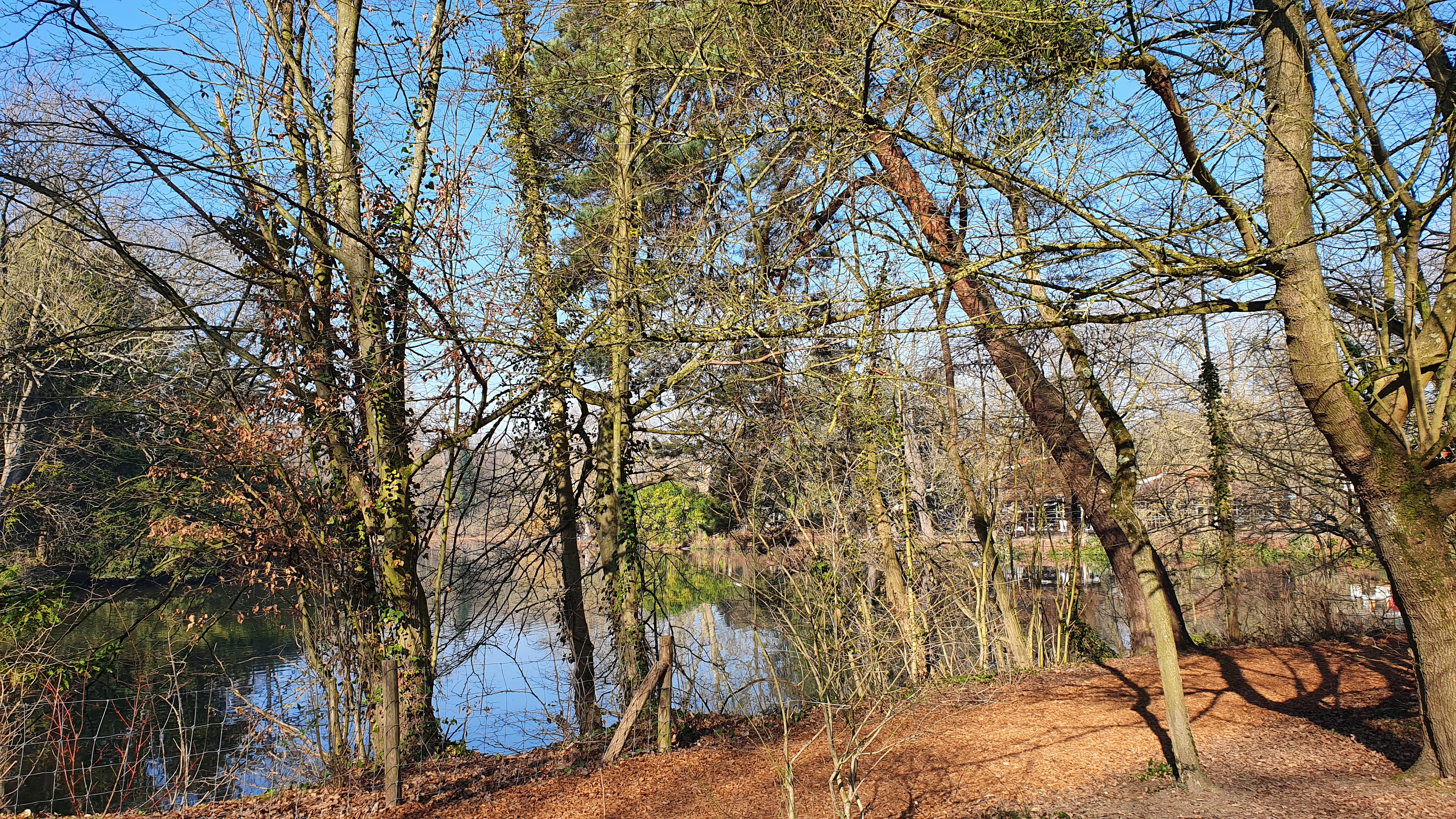 Photo n° 13 de l'avis de Gaelle.T fait le 12/02/2023 à 10:18