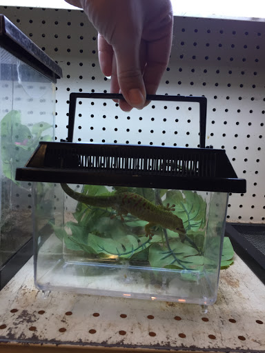 Pet Store «Critter Hut Aquarium & Pets», reviews and photos, 6637 Post Rd, North Kingstown, RI 02852, USA