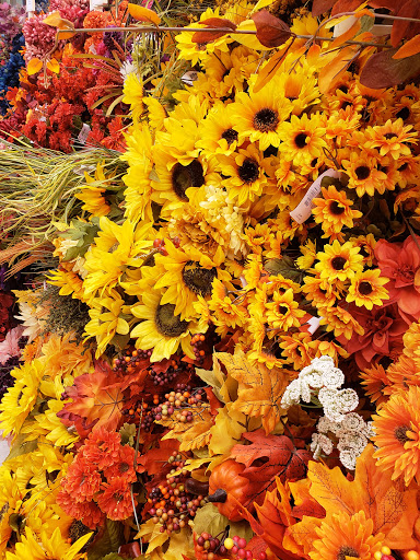 Fabric Store «Jo-Ann Fabrics and Crafts», reviews and photos, 2400 W International Speedway Blvd, Daytona Beach, FL 32114, USA