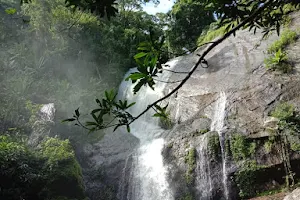 Manpilavu Palaruvi Waterfall image