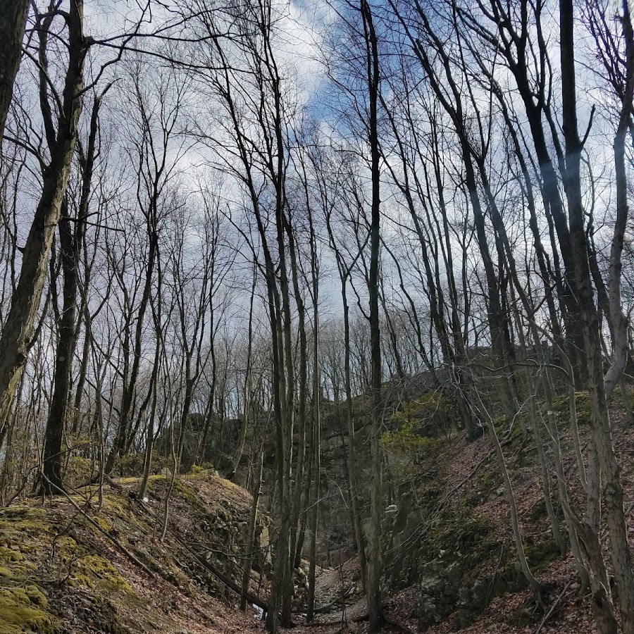 Welsh Mountain Nature Preserve