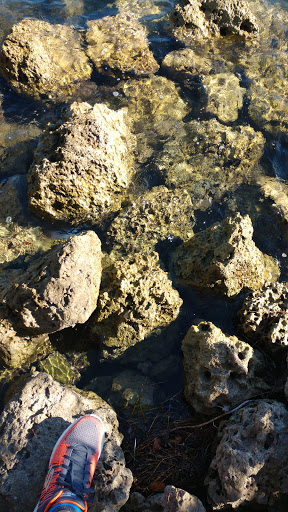 Park «Arch Creek Park», reviews and photos, 1855 NE 135th St, North Miami, FL 33181, USA