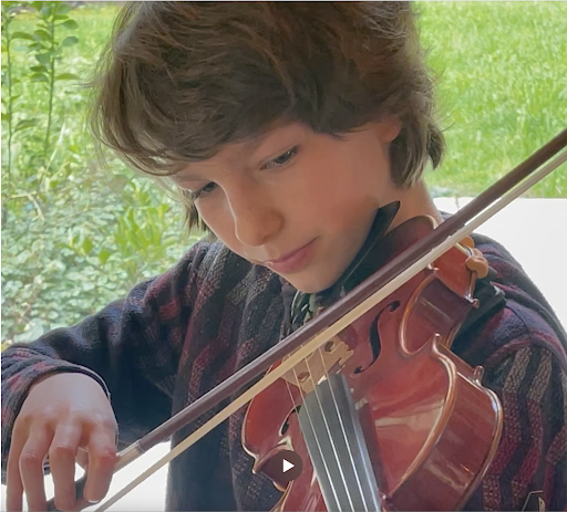 Albers Violin Studio: Violin Lessons In Sebastopol
