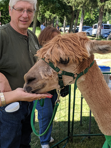 Park «North Olmsted Community Park», reviews and photos, 28114 Lorain Rd, North Olmsted, OH 44070, USA