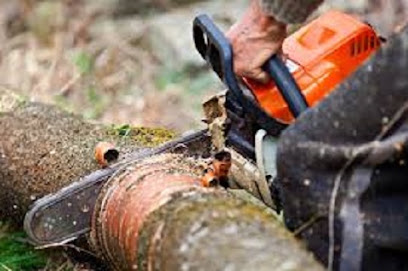 Marquis Tree Service Inc.
