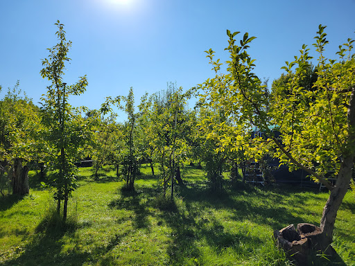Orchard Hill Apple Orchard
