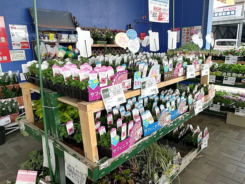 Dcmカーマ 香流店 愛知県名古屋市名東区香流 ホームセンター グルコミ
