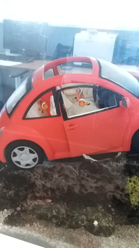 Volkswagen Dealer «Scott Volkswagen», reviews and photos, 777 Taunton Ave, East Providence, RI 02914, USA