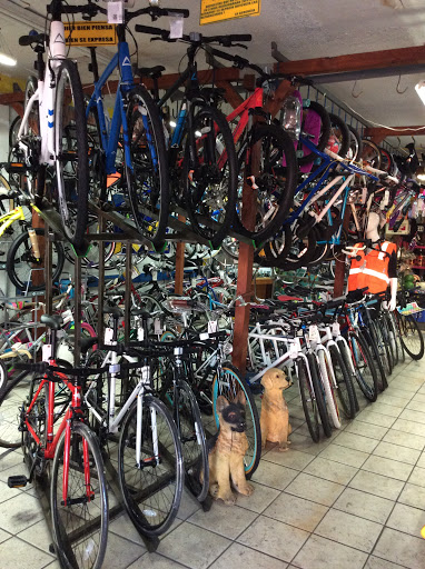 Paisano's Bike Shop