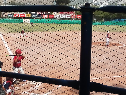 Liga Pequeña de Beisbol Del Valle