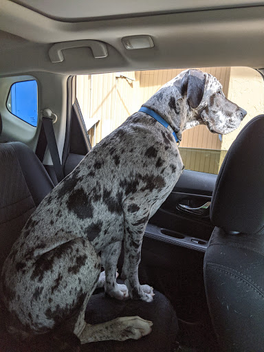 Ice Cream Shop «Rodeo Whip», reviews and photos, 1250 S Woodland Blvd, DeLand, FL 32720, USA