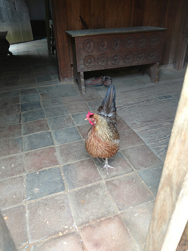 History Museum «Jamestown Settlement», reviews and photos, 2110 Jamestown Rd, Williamsburg, VA 23185, USA
