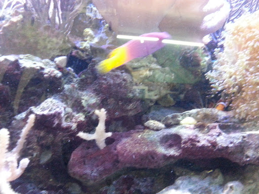 Pet Supply Store «Pet Station Jackson», reviews and photos, 1617 E Michigan Ave, Jackson, MI 49202, USA