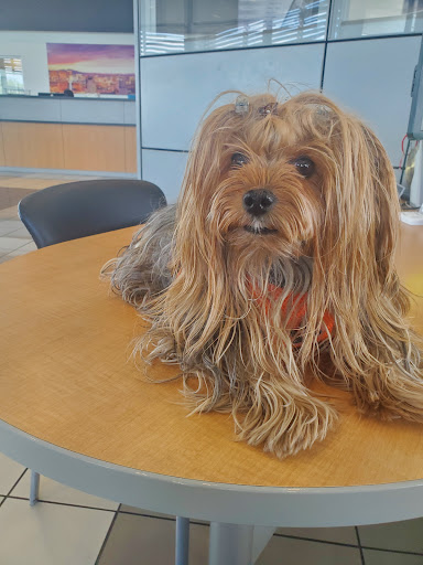 Buick Dealer «AutoNation Buick GMC Henderson», reviews and photos, 330 Old Gibson Rd, Henderson, NV 89014, USA