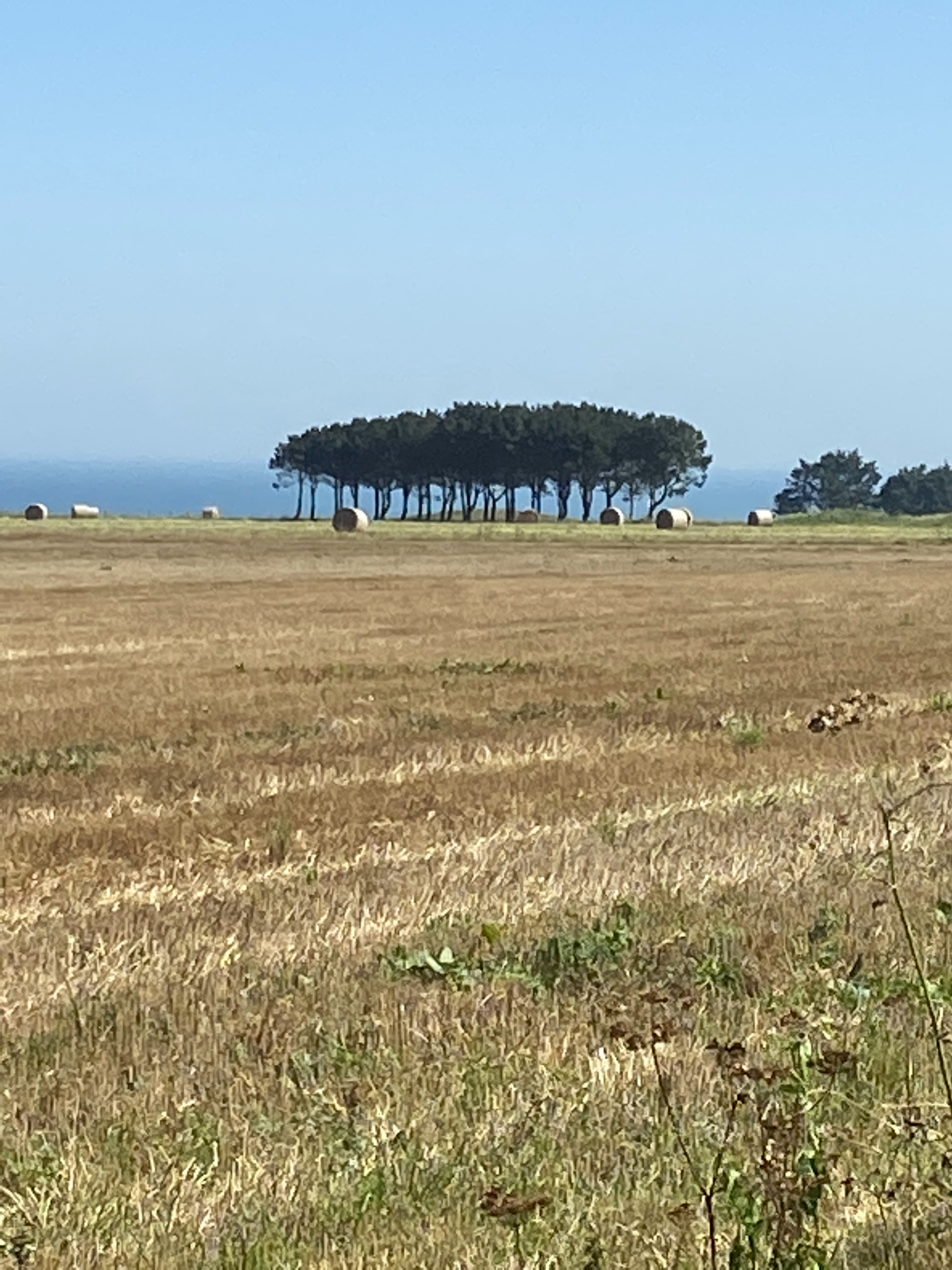 Photo n° 20 de l'avis de M..e fait le 07/09/2021 à 16:54