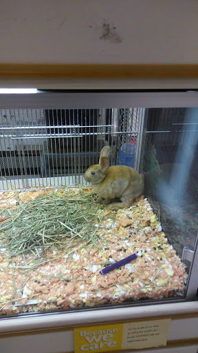 Pet Supply Store «PetSmart», reviews and photos, 934 W Street Rd, Warminster, PA 18974, USA