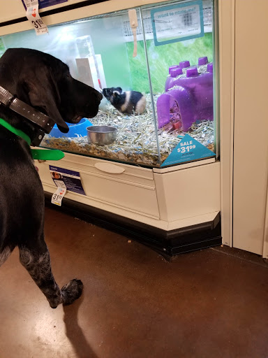 Pet Supply Store «PetSmart», reviews and photos, 1561 N Dysart Rd, Avondale, AZ 85323, USA