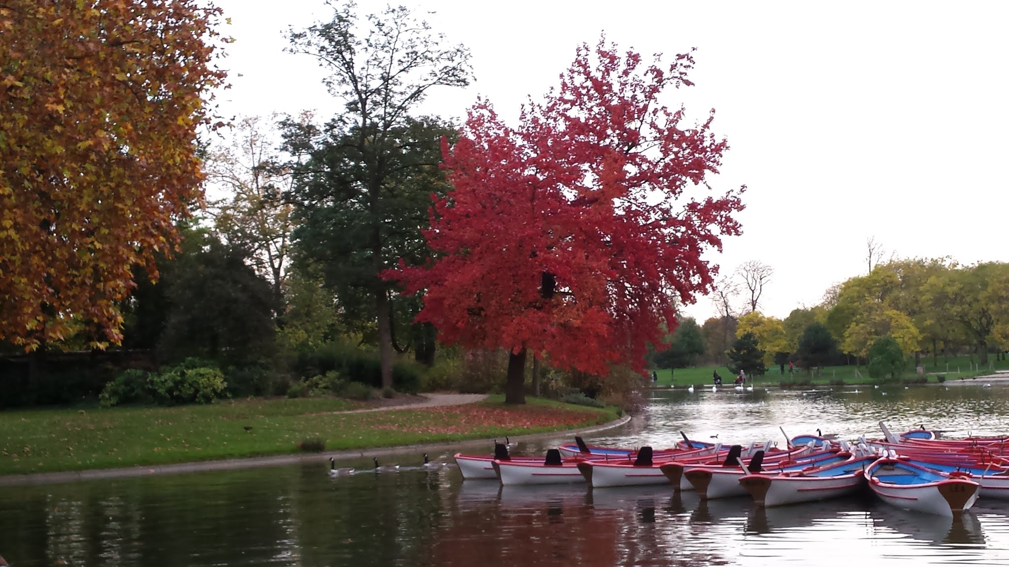 Photo n° 1 de l'avis de Chris.o fait le 22/09/2018 à 15:13