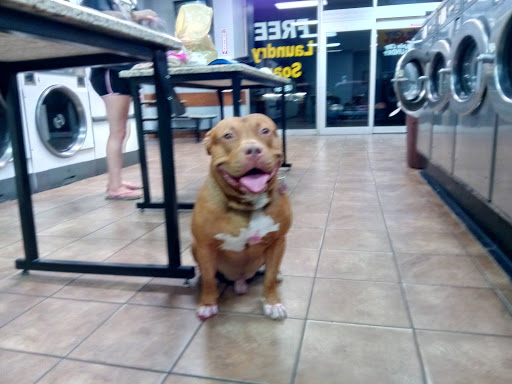 Laundromat «Spin City Laundry», reviews and photos, 3390 NE Jacksonville Rd, Ocala, FL 34479, USA