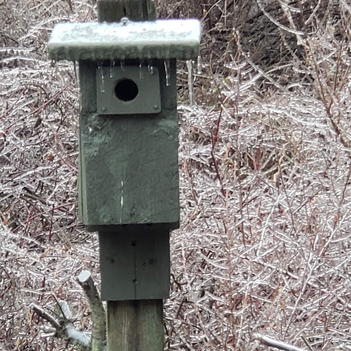Nature Preserve «The Celery Farm», reviews and photos, Franklin Turnpike, Allendale, NJ 07401, USA