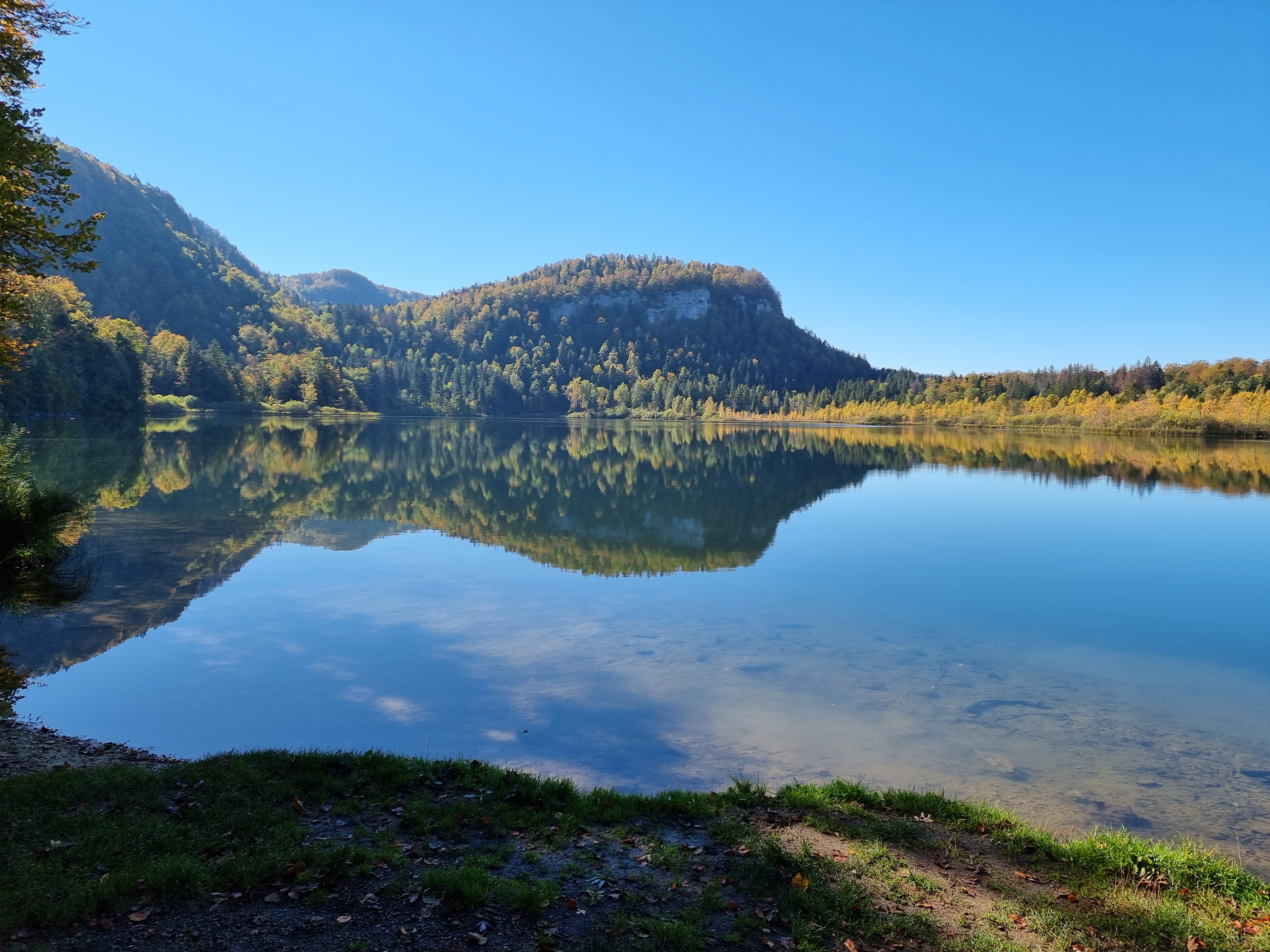 Photo n° 16 de l'avis de Viktória.i fait le 16/10/2021 à 14:46
