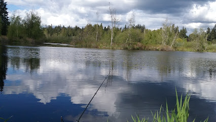 Bassett Pond Natural Area