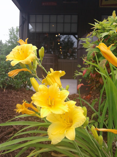 American Restaurant «Cracker Barrel Old Country Store», reviews and photos, 970 W Pointe Ct, Lithia Springs, GA 30122, USA