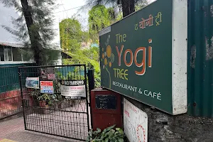 Yogi Tree image