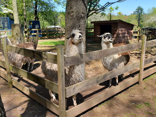 Zoo «Bailiwick Animal Park and Riding Stables», reviews and photos, 118 Castle Rd, Catskill, NY 12414, USA