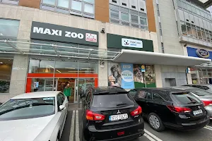 Maxi Zoo Blackpool image
