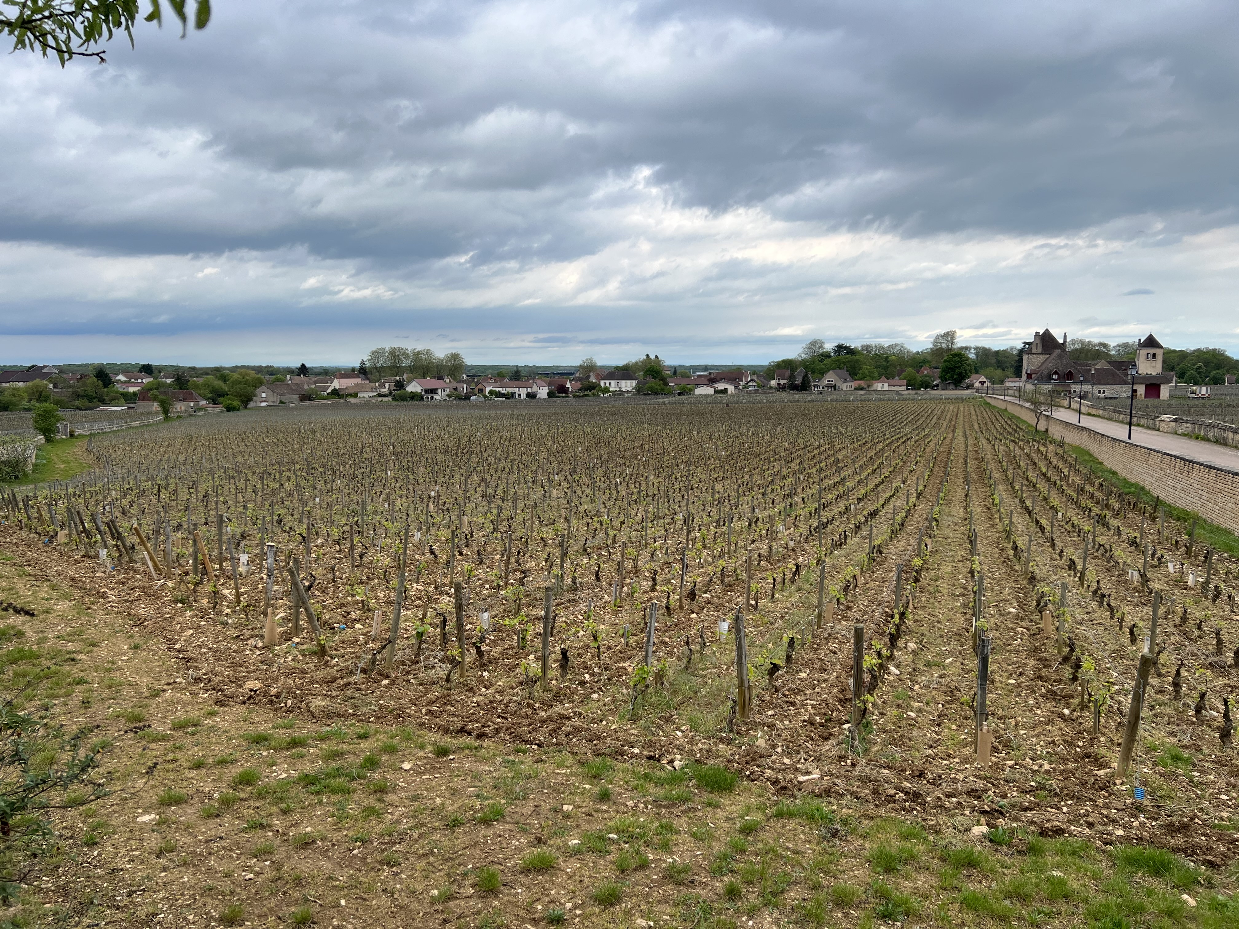 Photo n° 1 de l'avis de Hansruedi.c fait le 26/04/2022 à 15:23