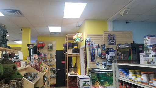 Pet Store «Everything Pets», reviews and photos, 1506 Altamont Ave, Schenectady, NY 12303, USA