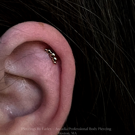 Explore mass effect tattoo ideas, creative tattoo ideas in Boston, available at Arcadia Body Piercing