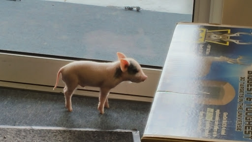 Sporting Goods Store «Hunters Haven», reviews and photos, 15952 S Dupont Hwy, Harrington, DE 19952, USA