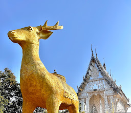 Wat Pak Ping Tawan Ok photo