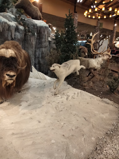 Outlet Mall «St. Louis Outlet Mall», reviews and photos, 5555 St.Louis Mills Blvd, Hazelwood, MO 63042, USA