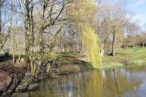 Carr Lane Woods and pond image