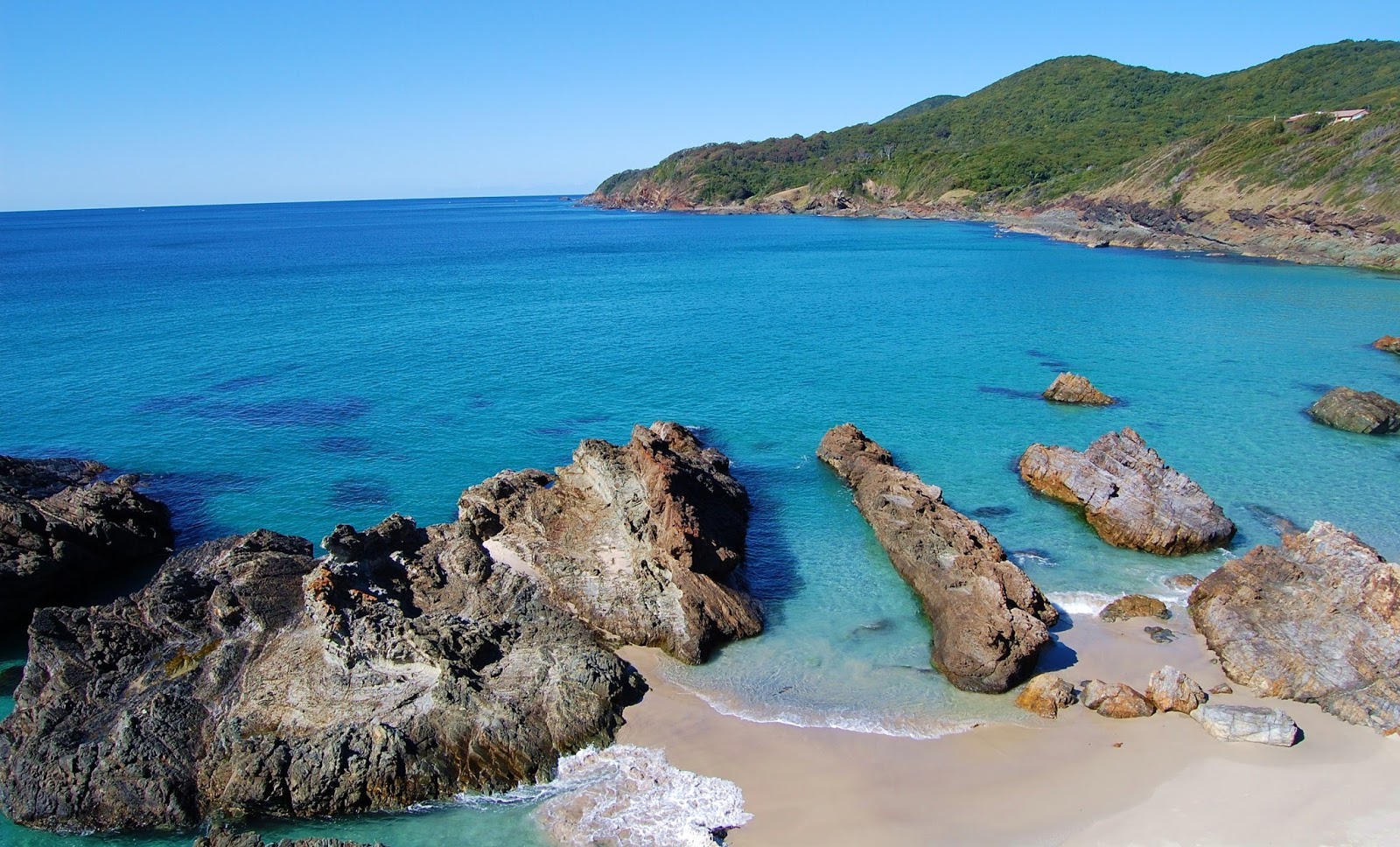 Burgess Beach photo #7
