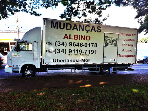 Logo da empresa - Mudanças Albino - Fretes