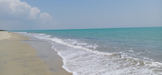Sea Palm Beach